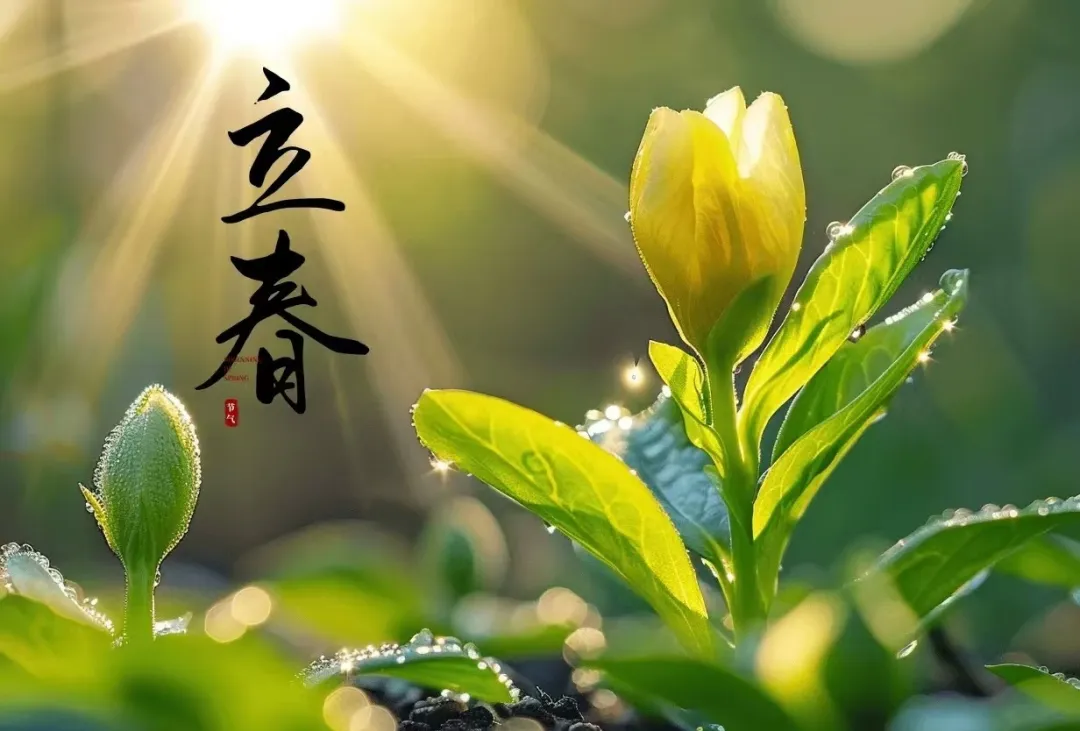立春知新意 美好正當(dāng)時(shí)——二十四節(jié)氣之立春