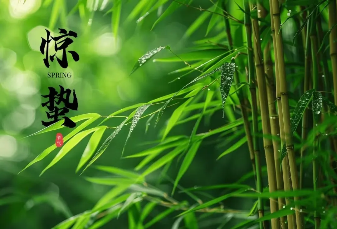 驚雷醒萬(wàn)物 童趣繪春生——二十四節(jié)氣之驚蟄